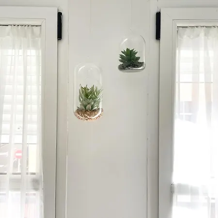 Casa Amadeus كوراليهو