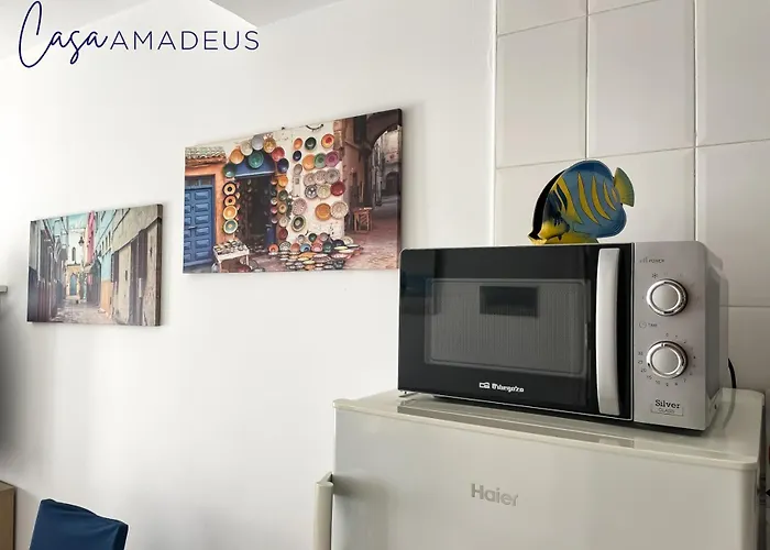 Casa Amadeus
